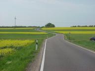 "Fields of Gold ..."